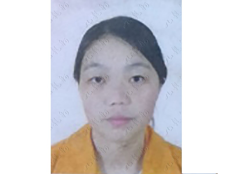 马女士 木工 41 JLG000419